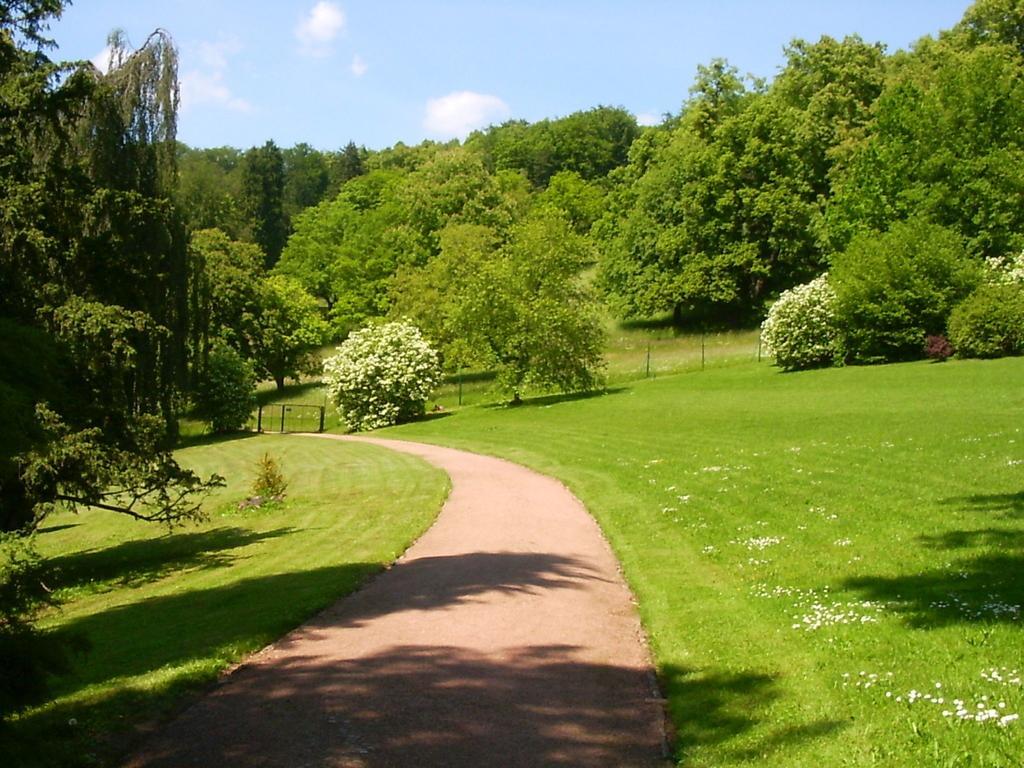 Lovely Holiday Home In The Thuringian Forest With Roof Terrace And Great View Bad Liebenstein Dış mekan fotoğraf